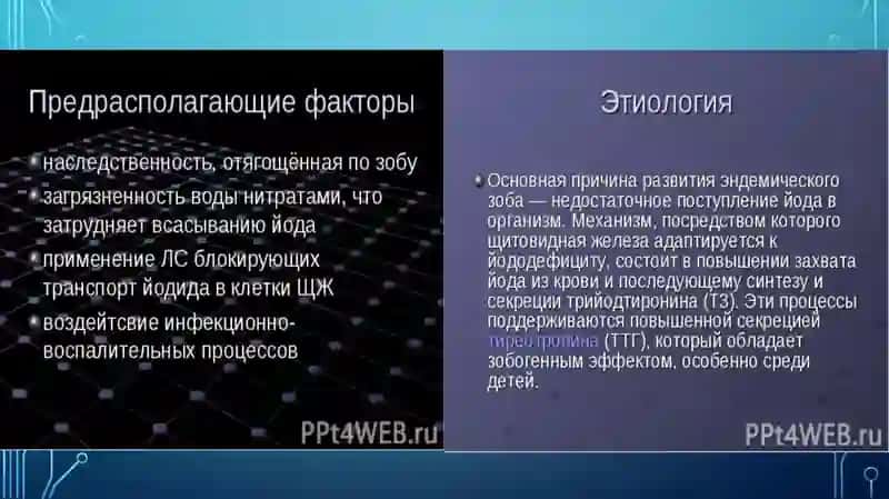ЭНДЕМИЧЕСКИЙ   ЗОБ, ГИПОТЕРИОЗ   И   ПАТОГЕНЕЗ 4