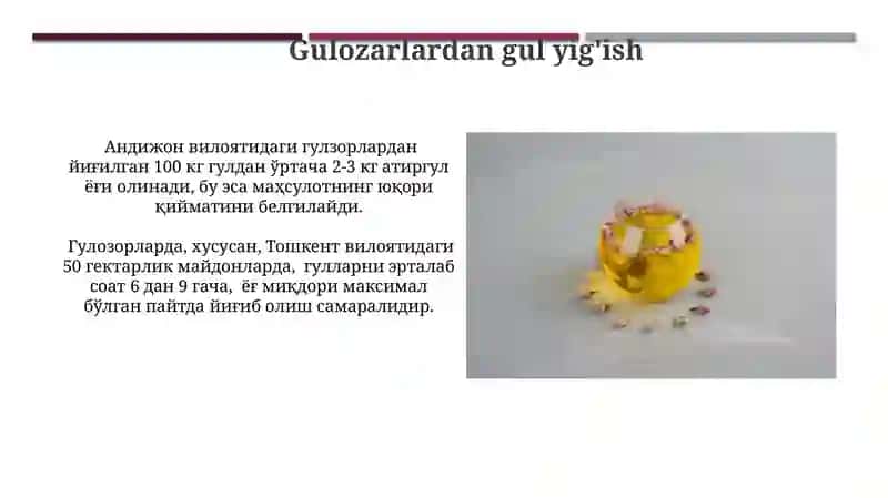 Atirgul efir moyini ekstraksiya qilish 4