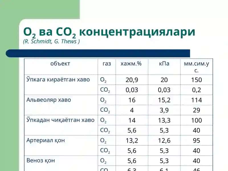 Ташқи нафастизими патофизиологияси 4