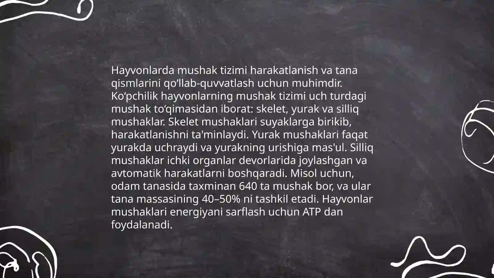 Hayvon muskullari 4