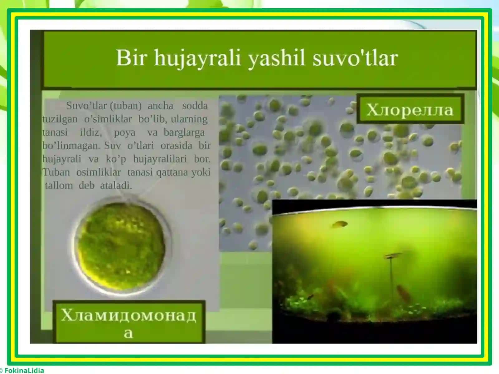 BIR HUJAYRALI SUV O’TLAR 4