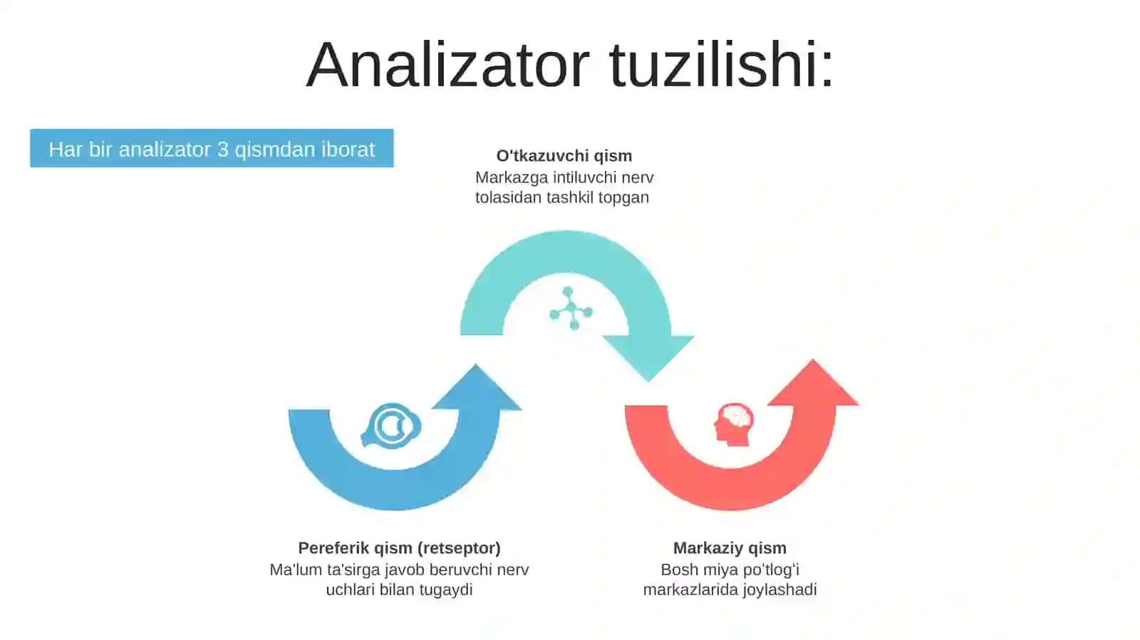 Analizatorlar 4