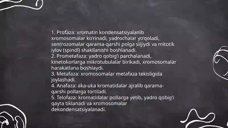 Mitozning bosqichlari 4