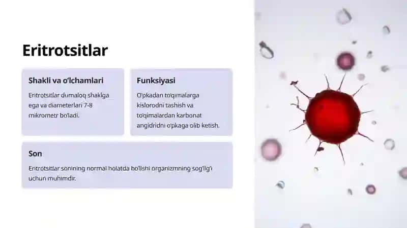Umumiy аhlаt tahlilining interpretatsiyasi 4