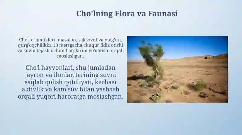 Choʻllar va ularning boyliklari 4