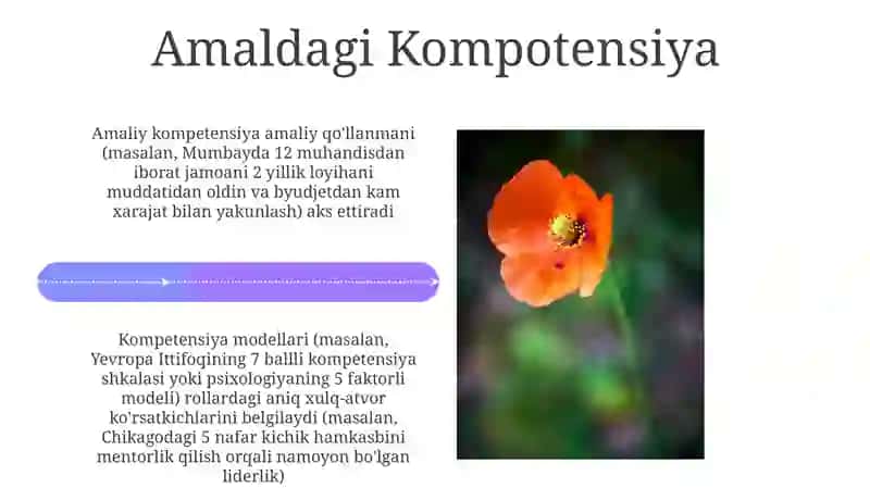 Kompetensiya va kompetentlik tushunchalarining mohiyati 4