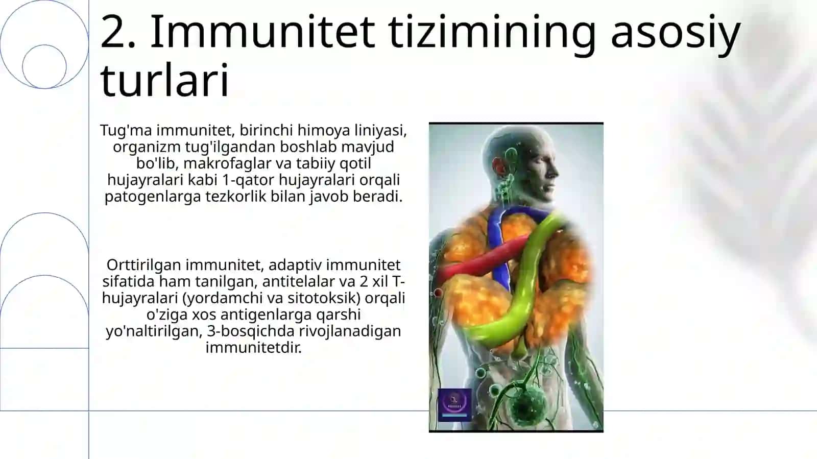 Limfa tizimi va Immun tizimi 4