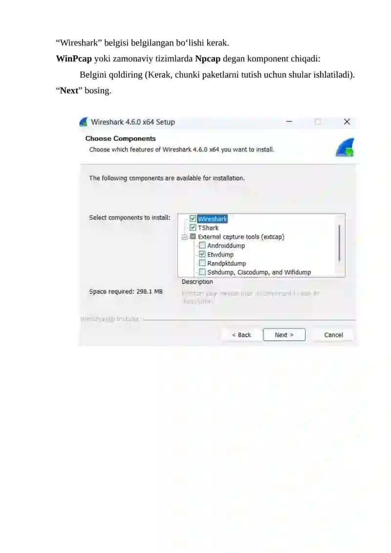 Wireshark dasturini o‘rnatish 4