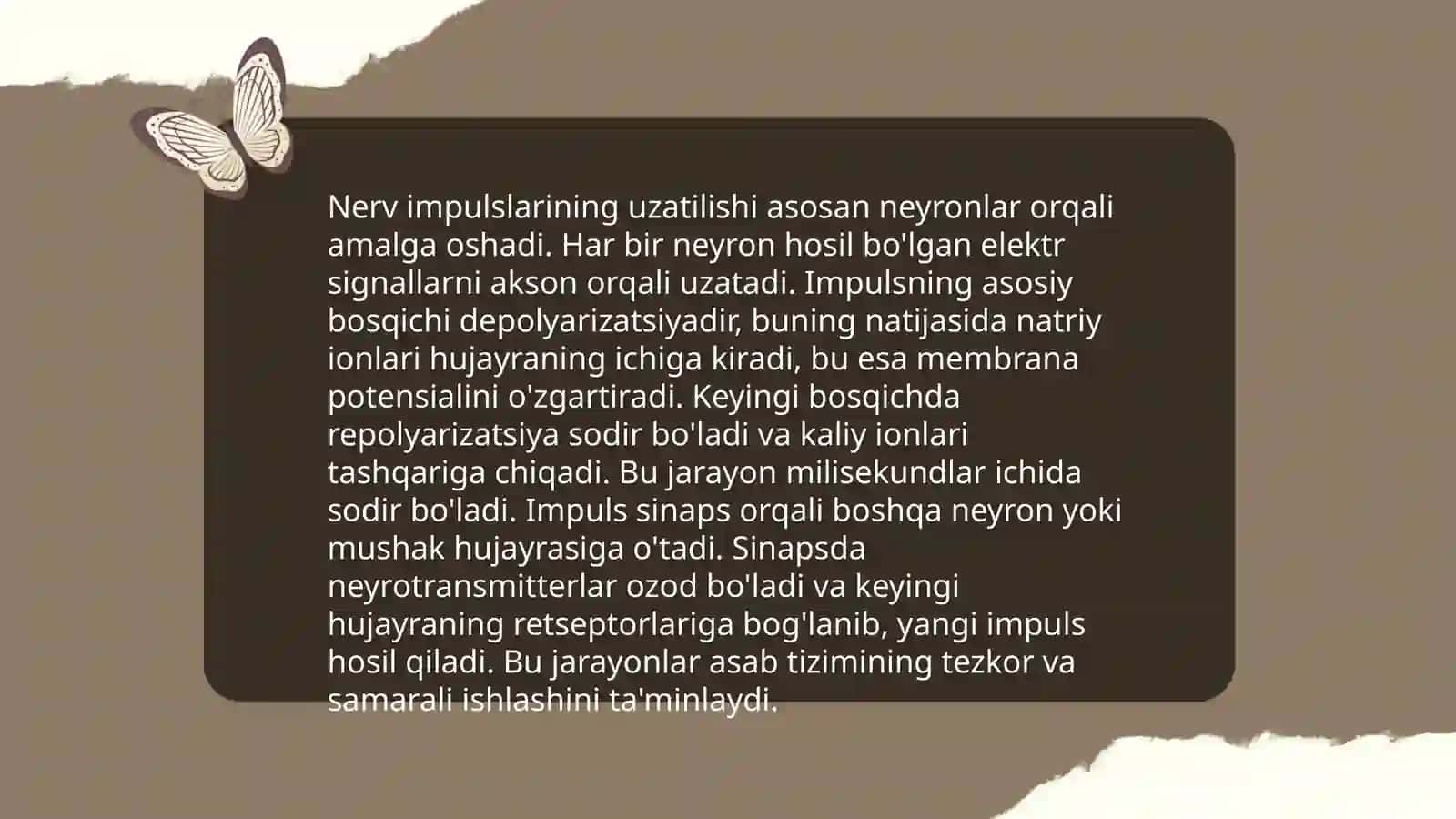 Nöronlar tuzilishi 4