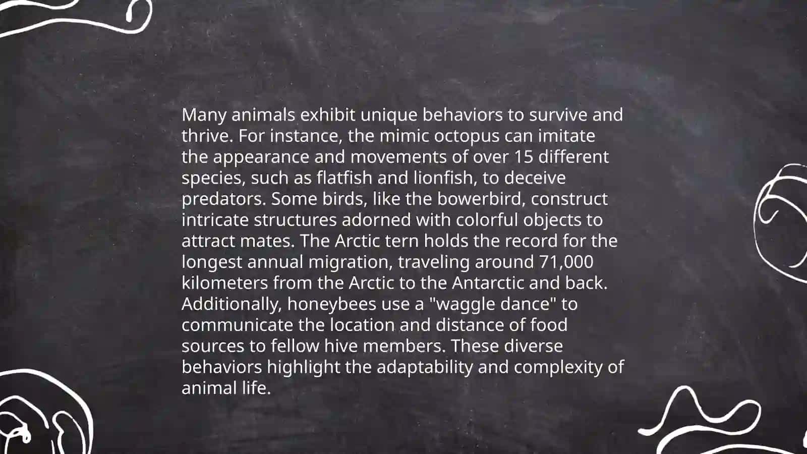 Animal Adaptations 4
