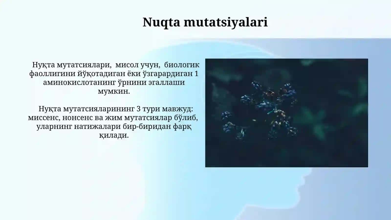 MUTATSIYA TURLARI 4