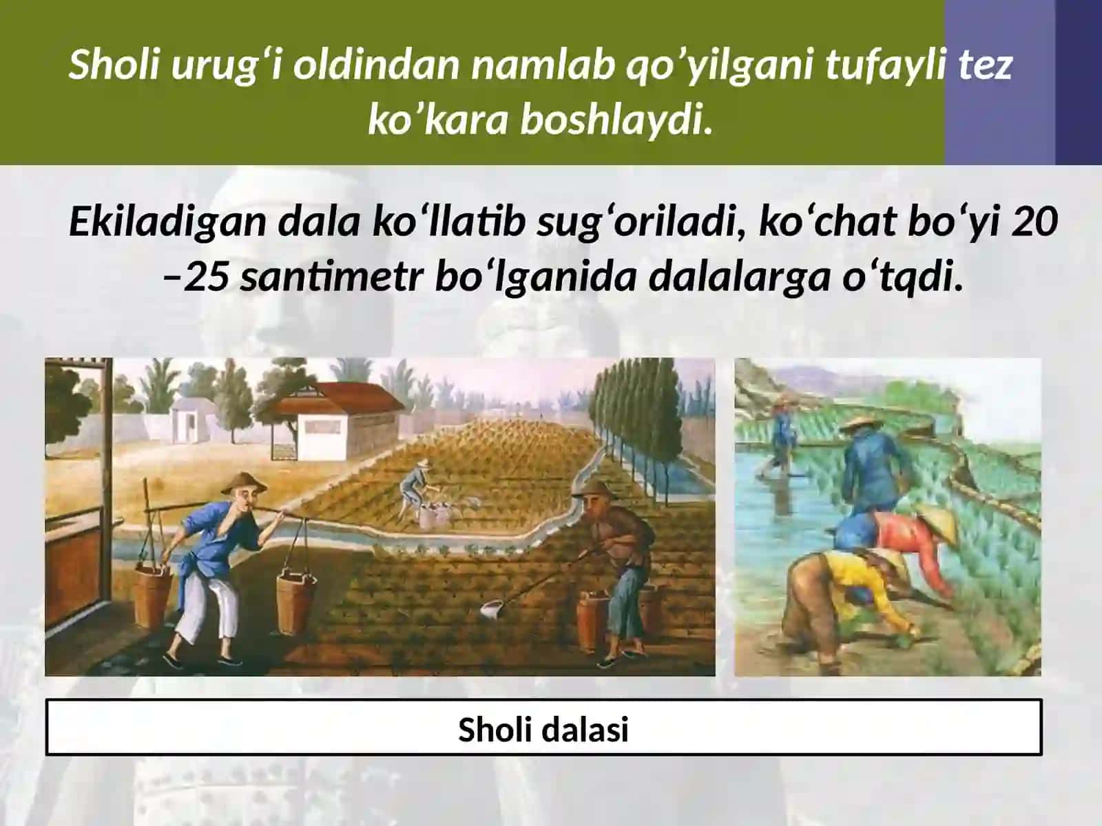 6-sinf Tarix fanidan Xitoyning qadimgi sivilizatsiyalari dars taqdimot 4