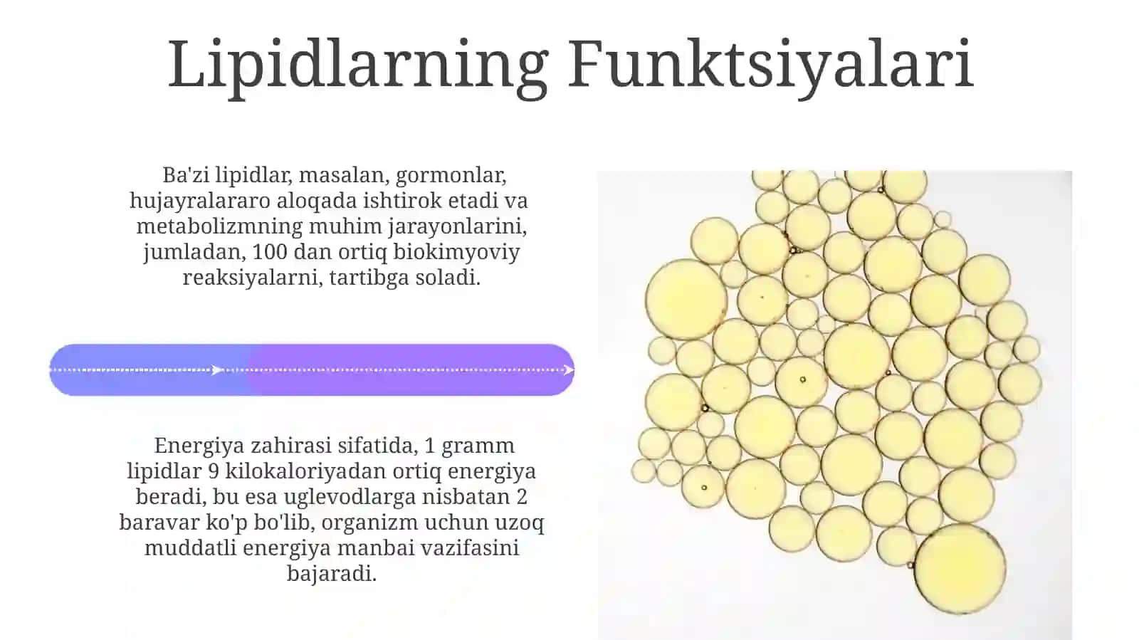 Lipidlarning Kimyoviy Tarkibi 4
