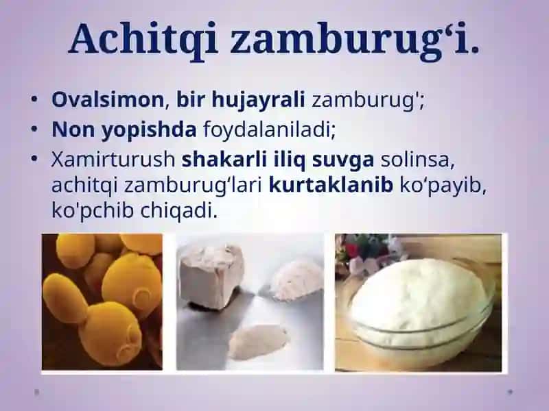 Zamburug‘lar dunyosi 4
