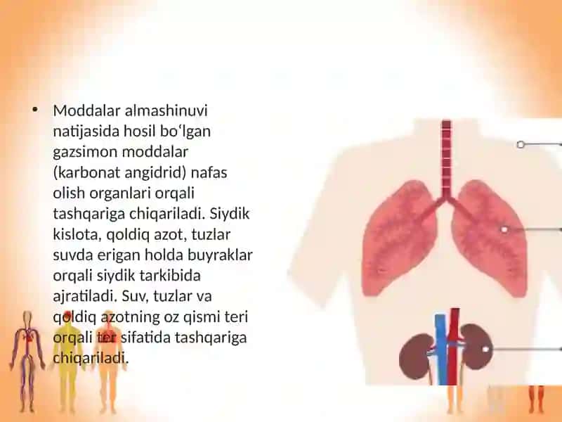Odam va uning salomatligi 4