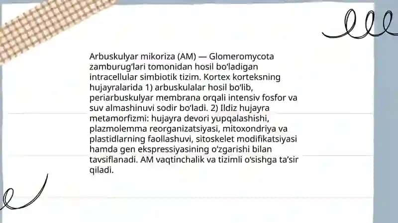 Mikoriza va ildiz metamorfozi 4