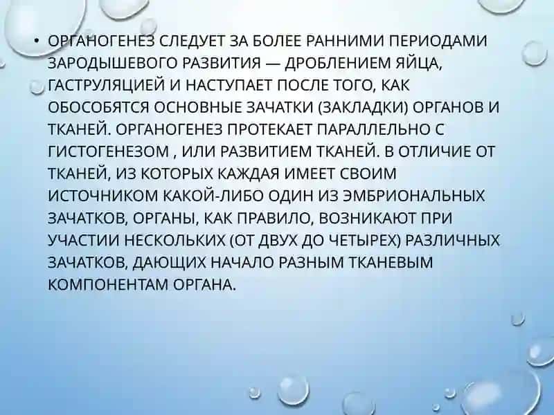 ОРГАНОГЕНЕЗ 4