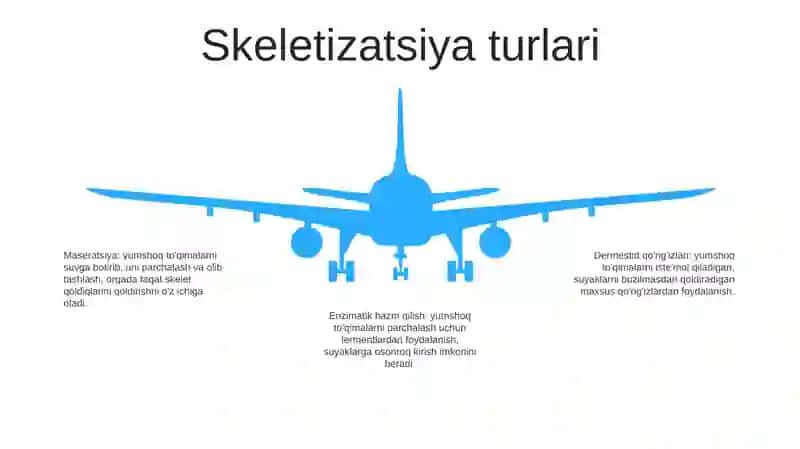 Baliq Skeleti Metodi 4