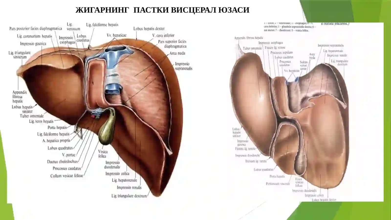 ЖИГАРРАКИ–С22 4