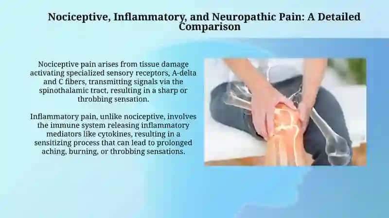 Understanding Pain Types: A Comprehensive Overview 4