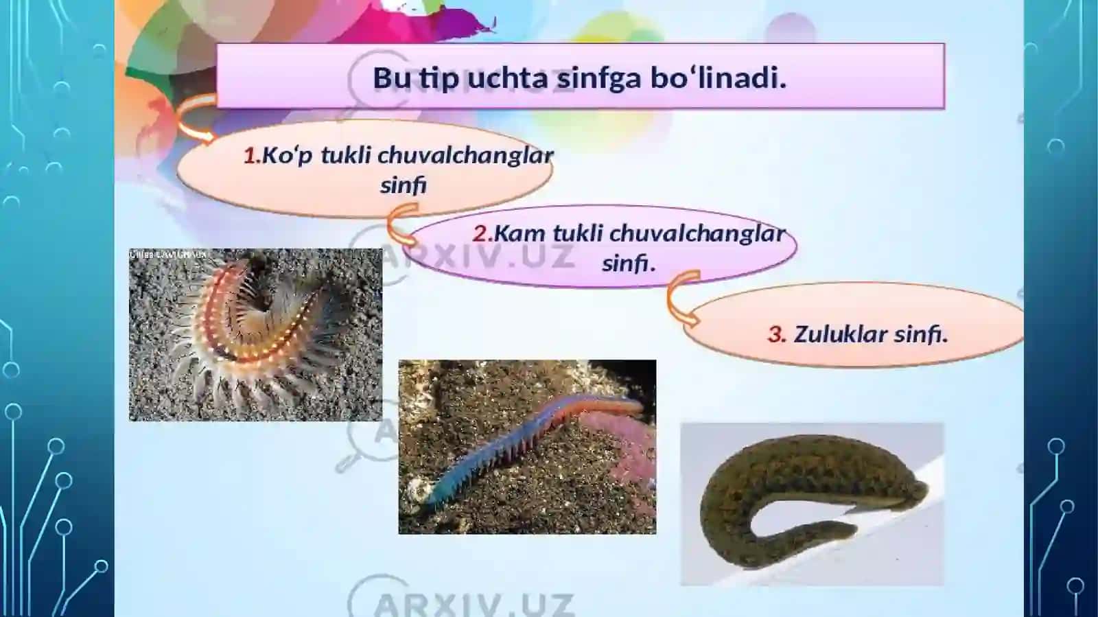 HALQALI CHUVALCHANGLAR TIPI 4