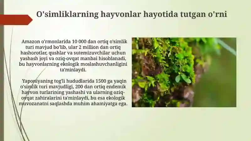 Ekologik xilma-xilligi 4