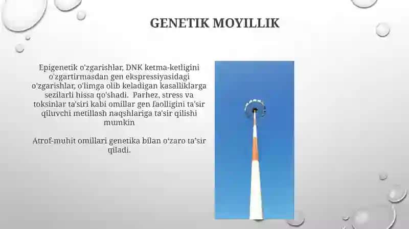 Noto'g'ri ovqatlanish va to'yimsiz ovqat 4