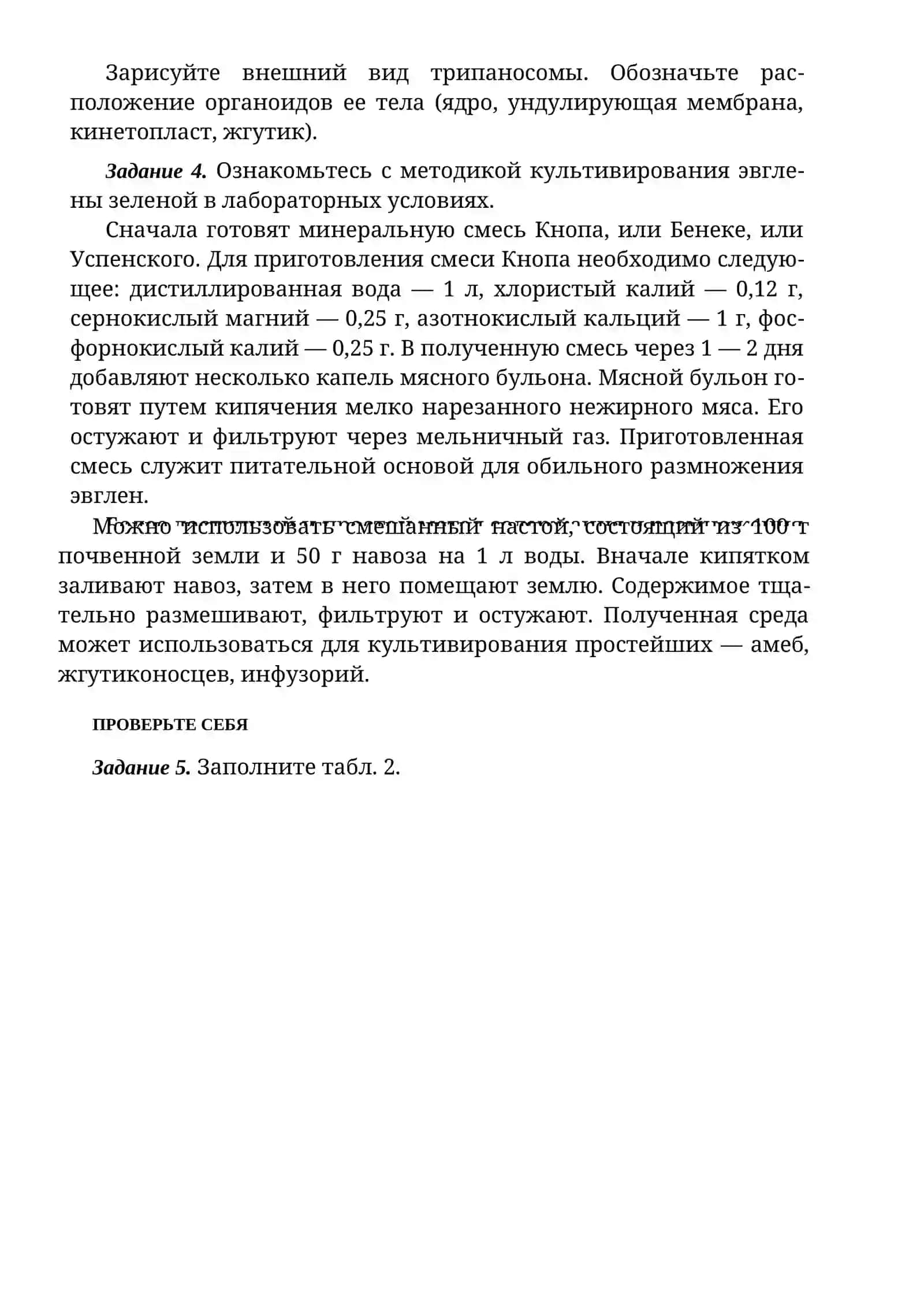 ОСОБЕННОСТИ СТРОЕНИЯ ЖГУТИКОВЫХ 4