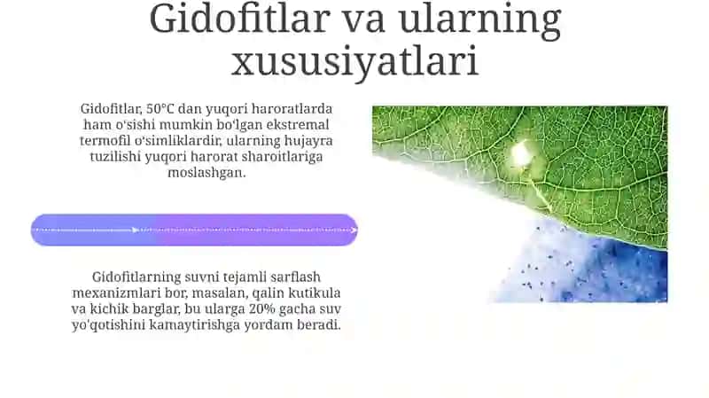 Oʻsimliklarning haroratga va suv omiliga moslashuvi 4