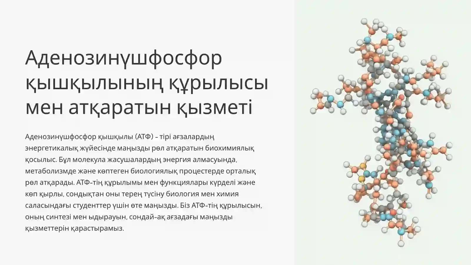 Жылы лебіз 4