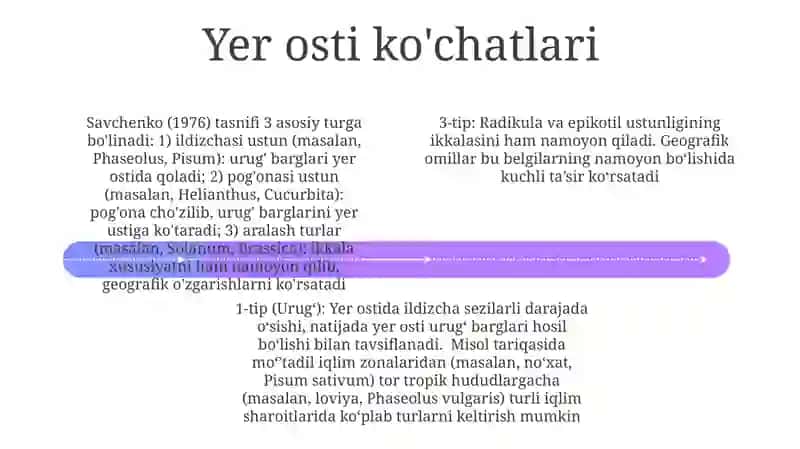 P.A.Savchenko tasnifi 4