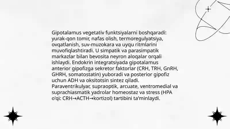 Vegetativ oliy markazlar va ularning funksional ahamiyati 4