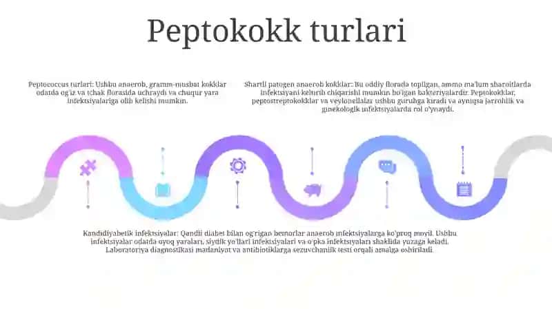 Shartli Patogen Anaerob Kokklarni (Peptokokklar Peptostreptokokklar, Veylonellalar) Xirurgik Va Ginekologik Kasalliklardagi Ahamiyati 4