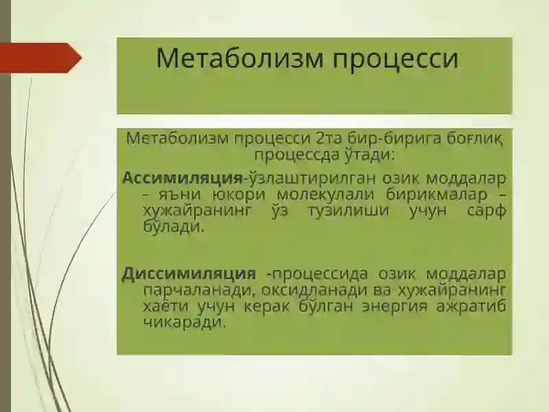 Бактерияларнингфизиологияси 4