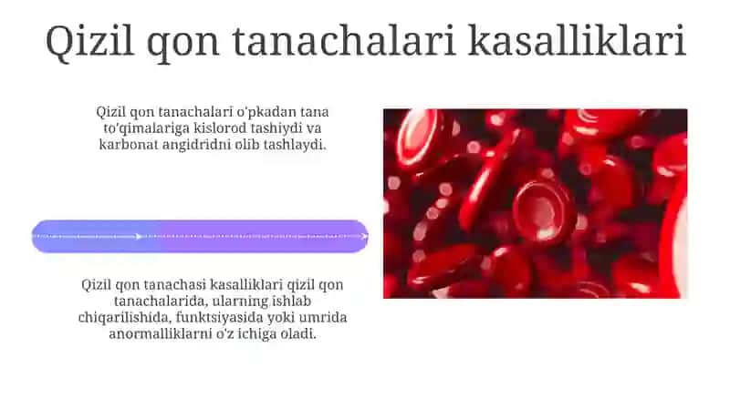 Eritrotsitlar,turlari va funksiyalari 4