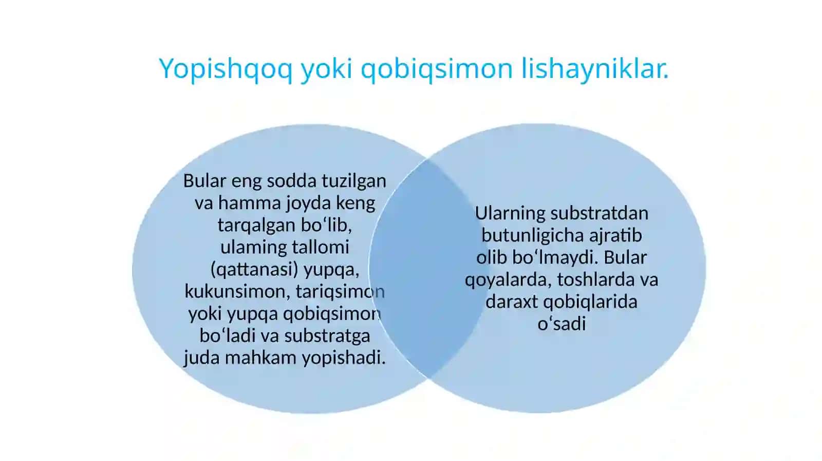 Lishayniktoifalar-Lichenophytabo‘limi 4