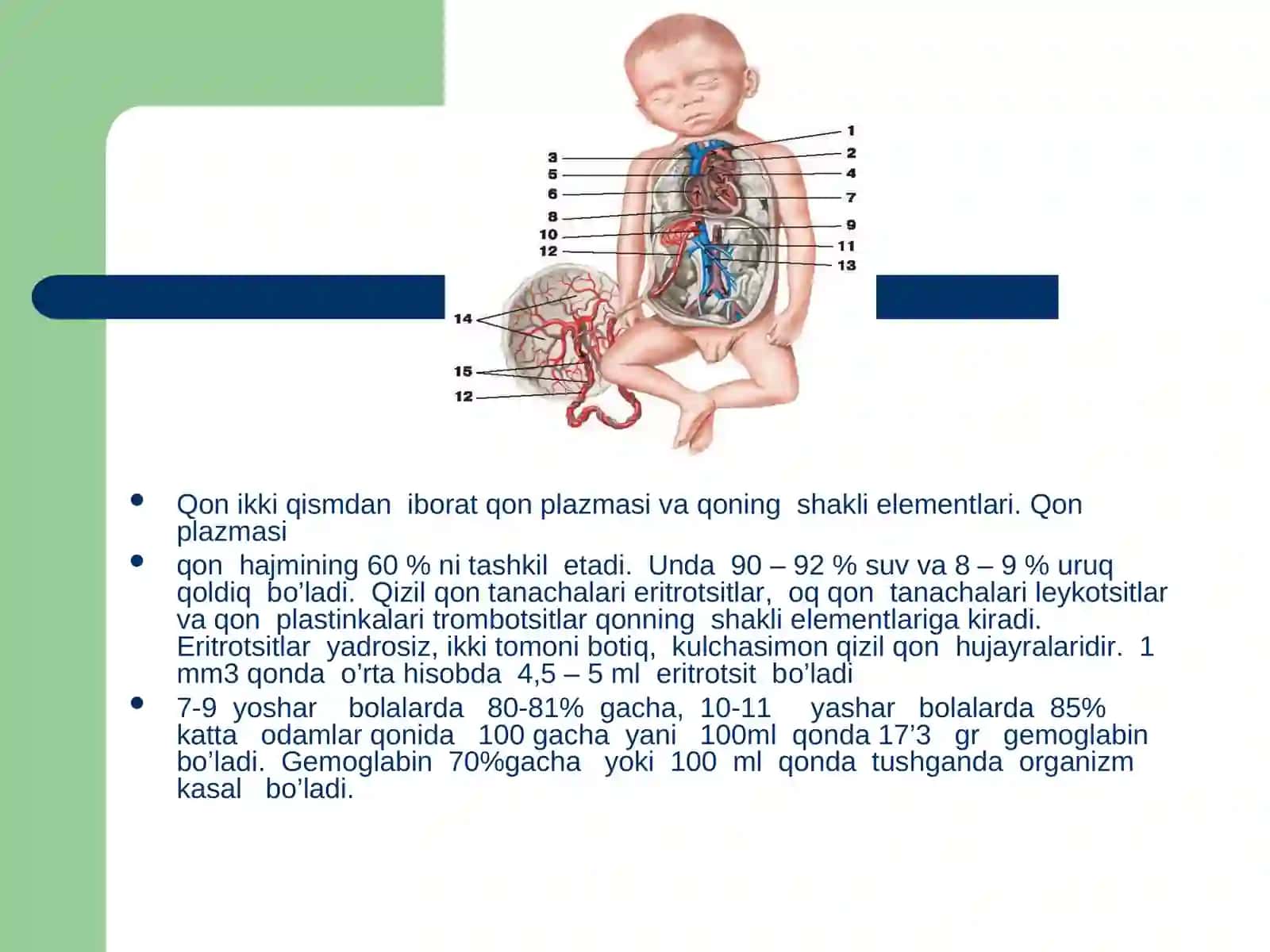 Qon aylanishini yosh xususiyatlariva gigiyenasi 4