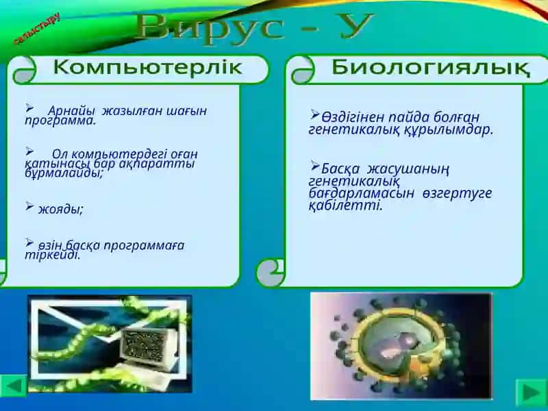 Компьютерлік вирус 4