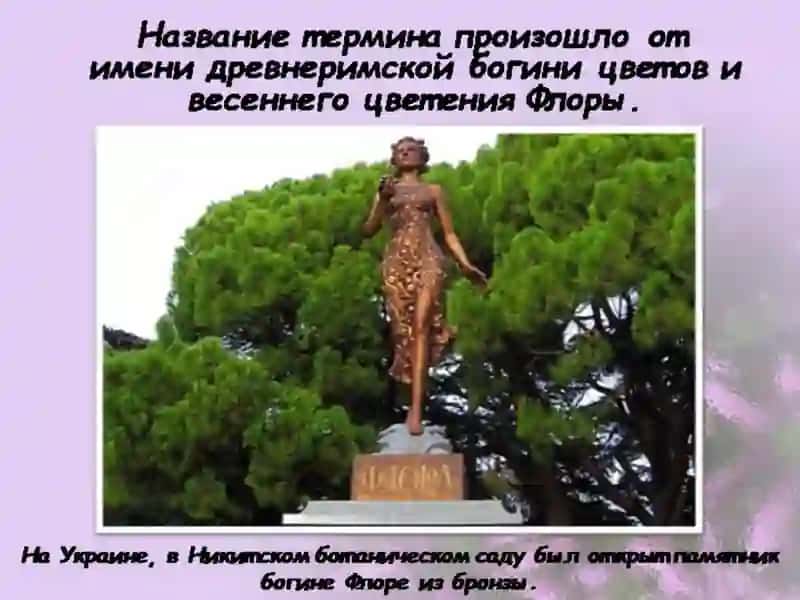 Флора и фауна презентация 4