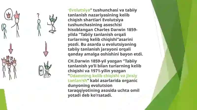 Tabiiy va jinsiy tanlanish nazariyasi 4