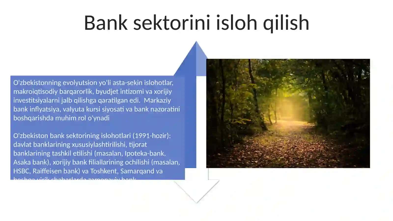 Qiyinchiliklar va Evolyutsion Yo'l 4