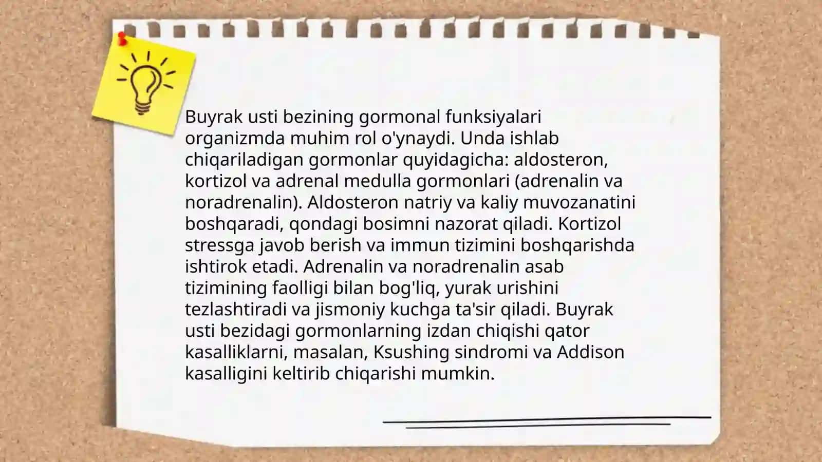 Buyrak usti bezining tuzilishi 4