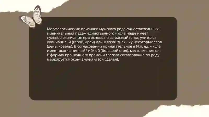Имя существительное. Категории рода и числа 4