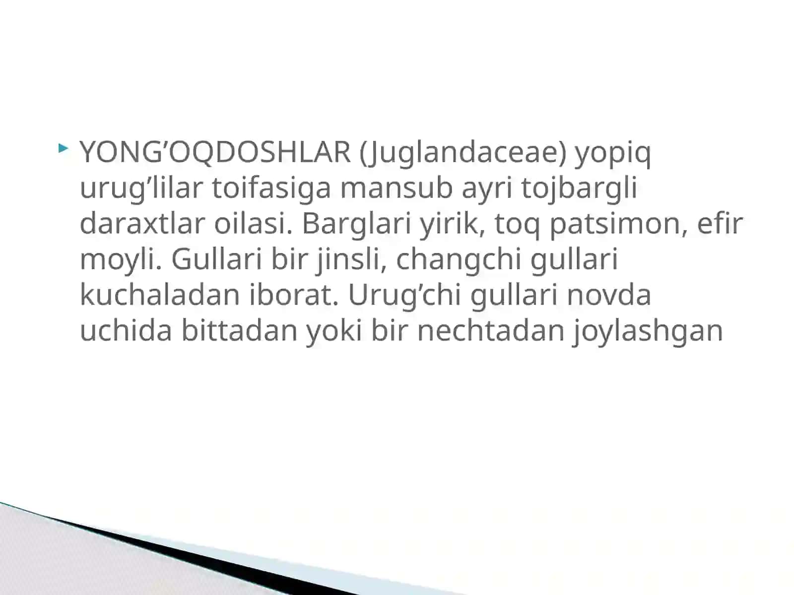 Yongʻoqdoshlar oilasi 4