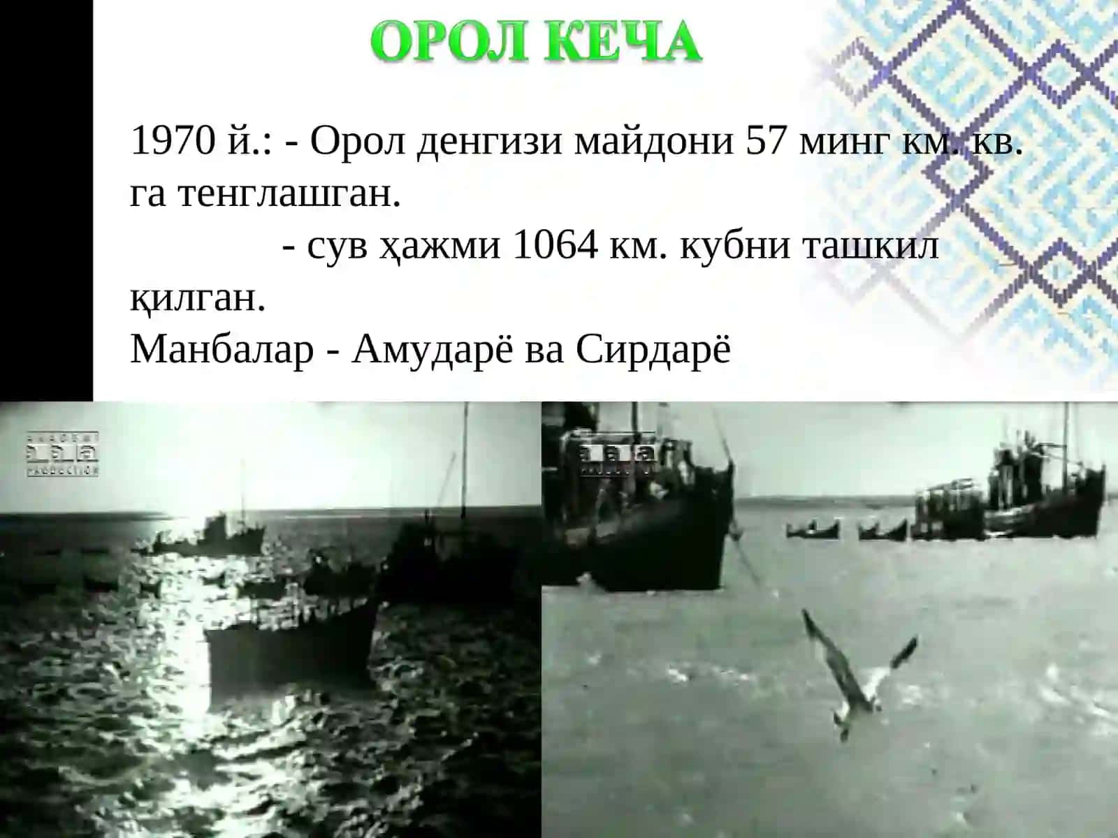 Орол ва Орол бўйи экологик муаммолари 4