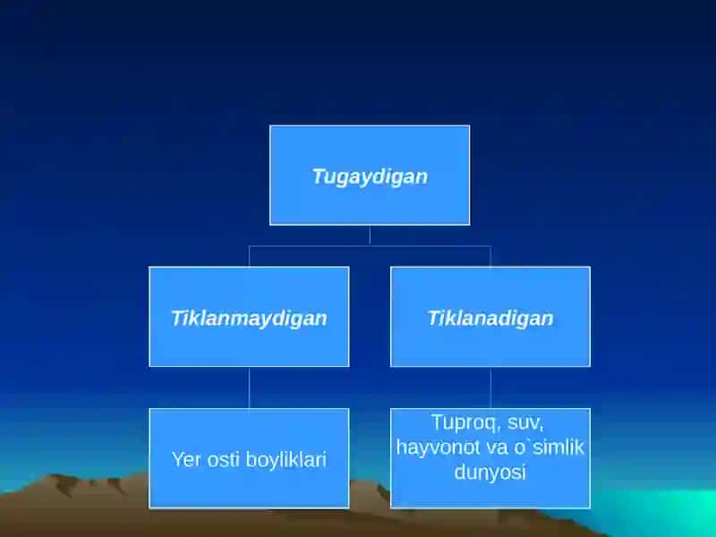 Tabiiyresurslar tasnifi 4