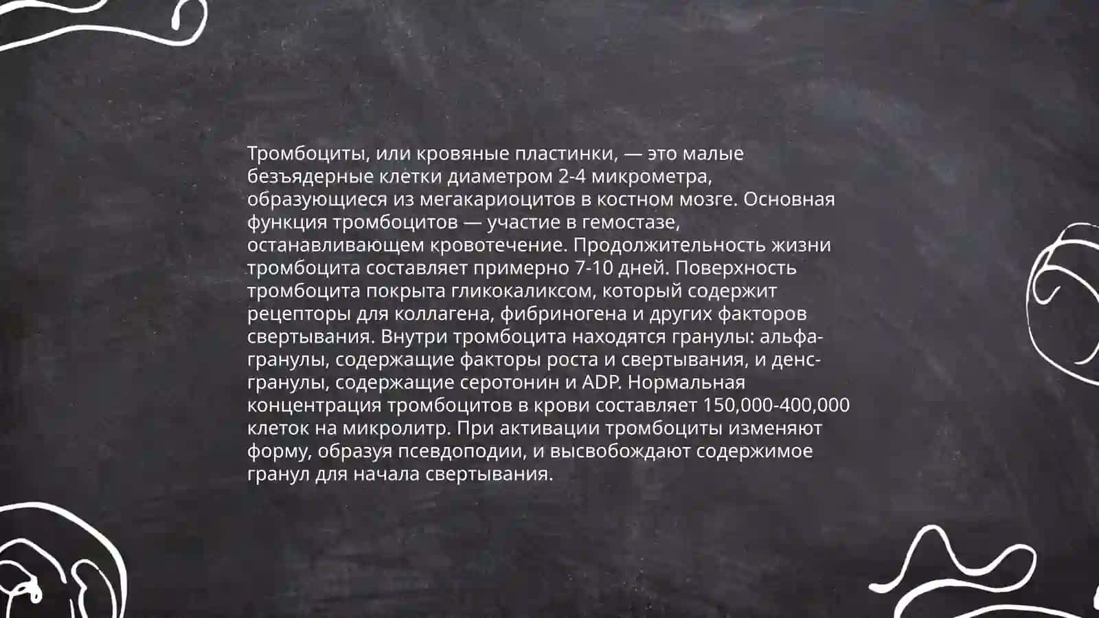 Тромбоциты в гистология 4