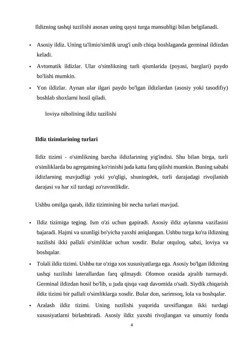 O'simlik ildizining tuzilishi 4