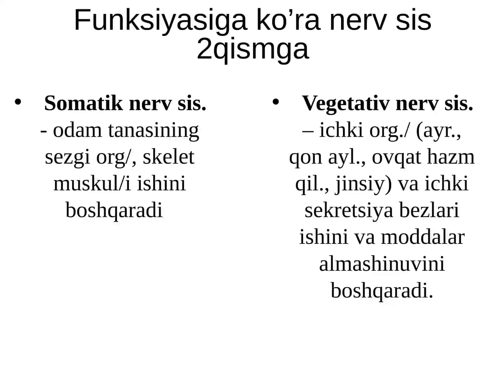 Nerv sistemasi 4