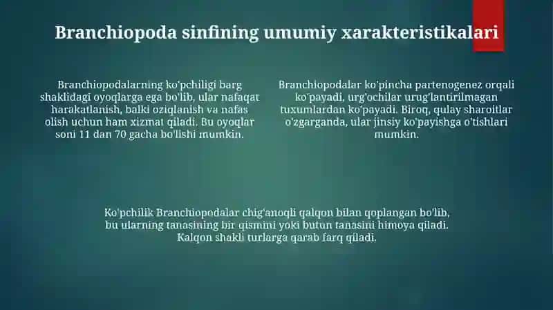 Qisqichbaqasimonlar 4